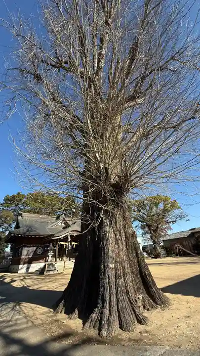 矢武八幡神社(徳島県)