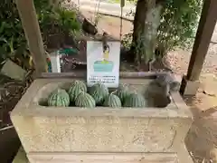 富里香取神社の手水