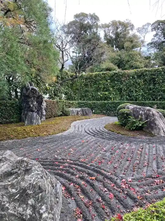 退蔵院(京都府)