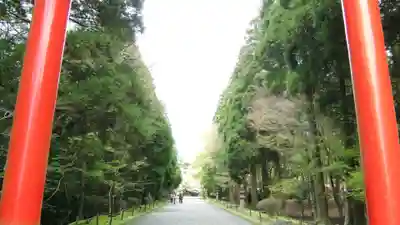 霧島神宮(鹿児島県)