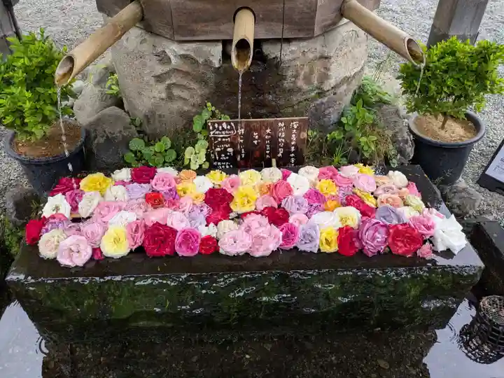 深大寺(東京都)