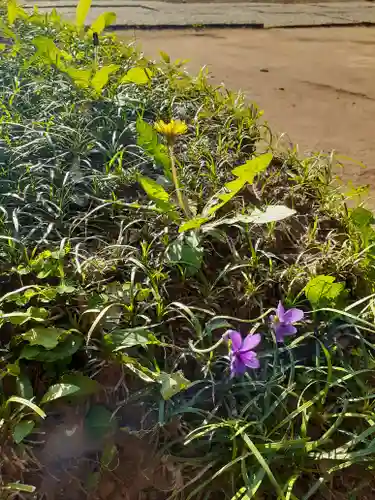 伏木香取神社の自然