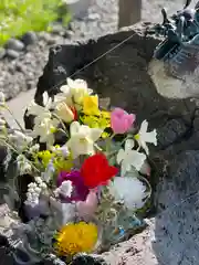 伊達神社の手水