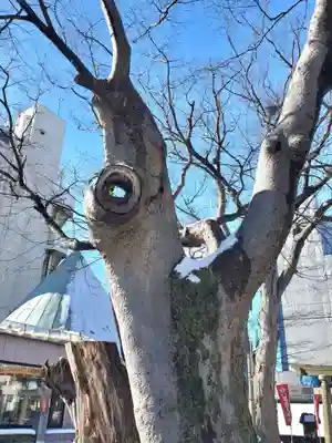 阿邪訶根神社(福島県)