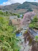 浄誓寺(和歌山県)