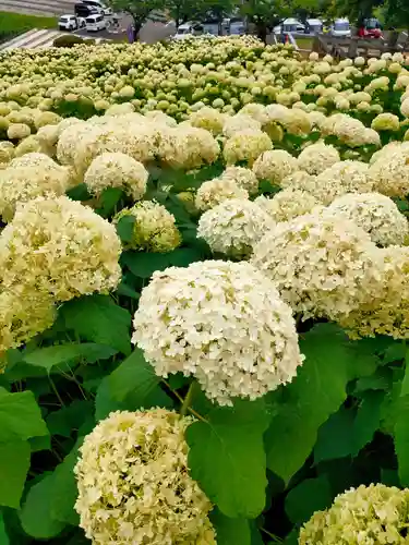 陽林寺(福島県)