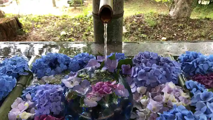 坂本八幡神社の手水舎