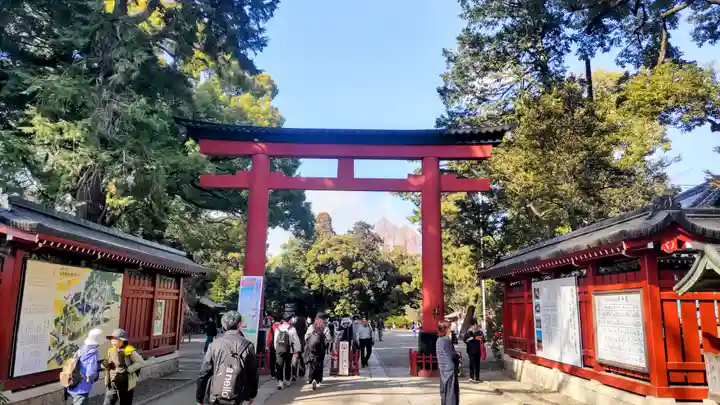 武蔵一宮氷川神社(埼玉県)