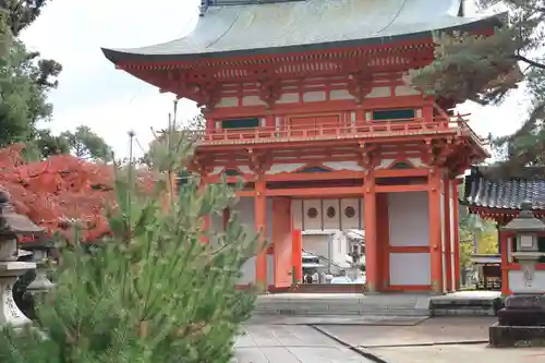 今宮神社(京都府)