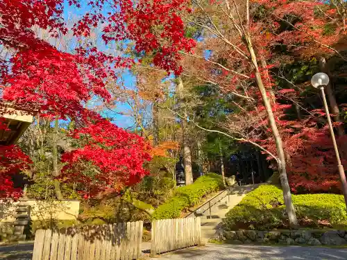 今熊野観音寺の自然
