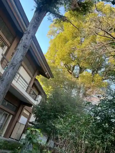 阿佐ヶ谷神明宮の{uncategorized: "未分類", other: "その他", undefined: "問題あり", building: "その他建物", grave: "お墓", sacred_gate: "鳥居", guardian: "狛犬", statue: "像", buddha: "仏像", history: "歴史", nature: "自然", garden: "庭園", animal: "動物", pagoda: "塔", temizu: "手水舎", mountain_gate: "山門・神門", sanctuary: "本殿・本堂", subordinate: "末社・摂社", art: "芸術", scenery: "景色", jizo: "地蔵", ema: "絵馬", goshuin: "御朱印", omikuji: "おみくじ", items: "授与品その他", amulet: "お守り", goshuincho: "御朱印帳", eats: "食事", festival: "お祭り", votive_dance: "神楽", shichigosan: "七五三参", wedding: "結婚式", experience: "体験その他", initially: "初詣", around: "周辺", anti_infection: "感染症対策"}