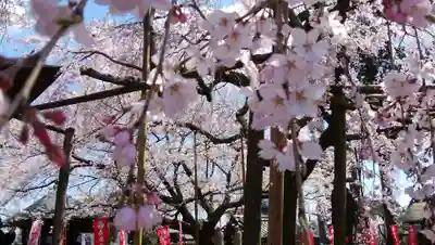 六地蔵寺の自然