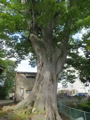 山王日枝神社(山形県)