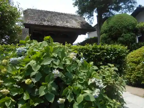 極楽寺（霊鷲山感應院極楽律寺）の景色