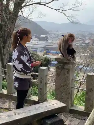 金崎宮(福井県)