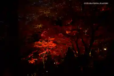 大山寺(神奈川県)