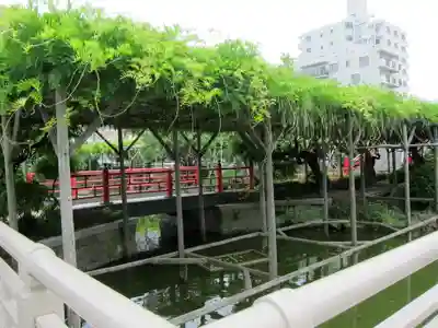 亀戸天神社(東京都)