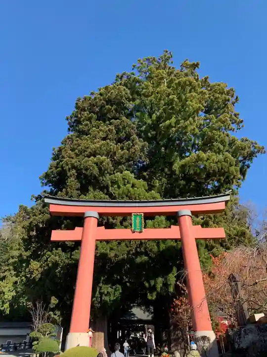 河口浅間神社(山梨県)