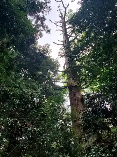 一之宮貫前神社(群馬県)