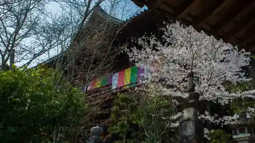 長谷寺の本殿・本堂