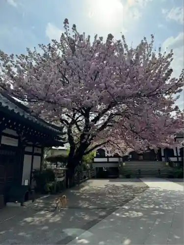 感通寺(東京都)