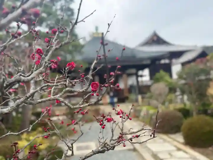 當麻寺中之坊の{uncategorized: "未分類", other: "その他", undefined: "問題あり", building: "その他建物", grave: "お墓", sacred_gate: "鳥居", guardian: "狛犬", statue: "像", buddha: "仏像", history: "歴史", nature: "自然", garden: "庭園", animal: "動物", pagoda: "塔", temizu: "手水舎", mountain_gate: "山門・神門", sanctuary: "本殿・本堂", subordinate: "末社・摂社", art: "芸術", scenery: "景色", jizo: "地蔵", ema: "絵馬", goshuin: "御朱印", omikuji: "おみくじ", items: "授与品その他", amulet: "お守り", goshuincho: "御朱印帳", eats: "食事", festival: "お祭り", votive_dance: "神楽", shichigosan: "七五三参", wedding: "結婚式", experience: "体験その他", initially: "初詣", around: "周辺", anti_infection: "感染症対策"}