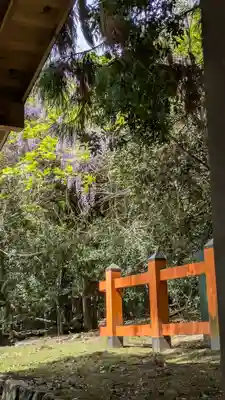 春日大社(奈良県)