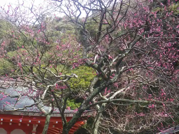 荏柄天神社の自然