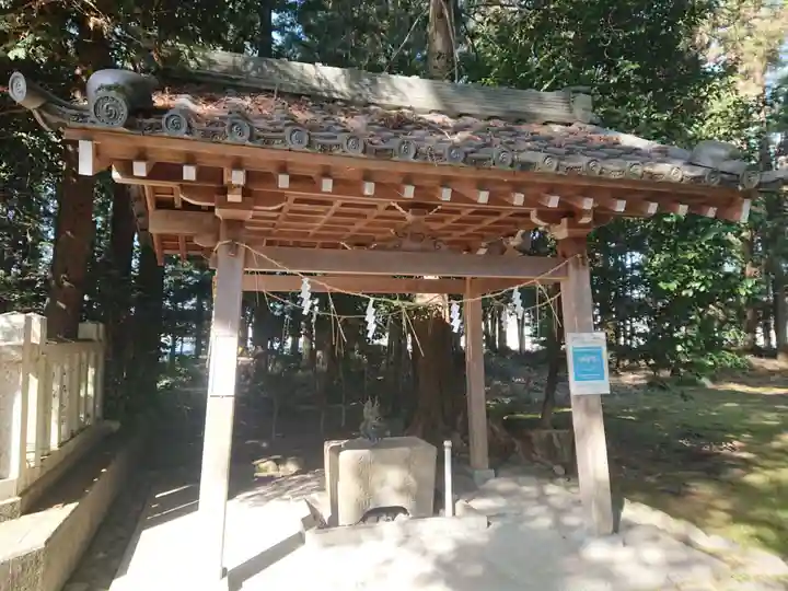 春日神社の手水舎