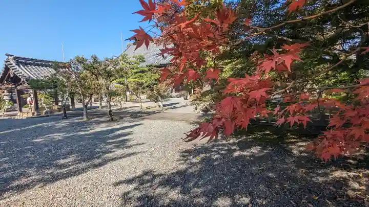 穴太寺(京都府)