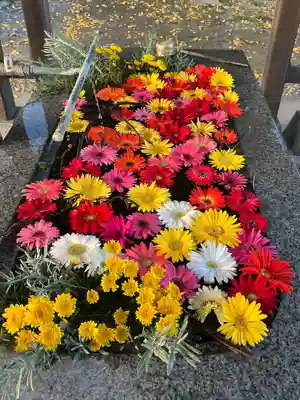 長沼八幡宮(栃木県)