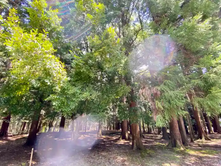 若狭彦神社(上社)(福井県)