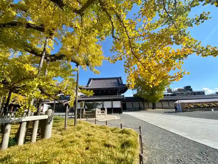 本願寺(西本願寺)(京都府)