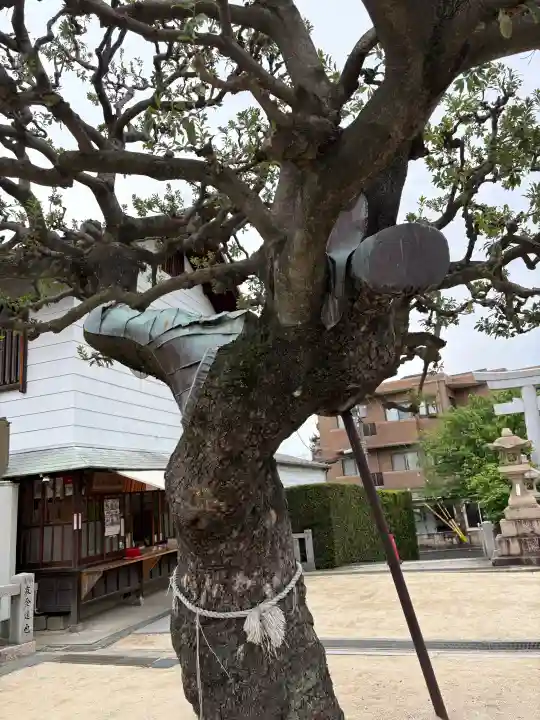 打出天神社の{uncategorized: "未分類", other: "その他", undefined: "問題あり", building: "その他建物", grave: "お墓", sacred_gate: "鳥居", guardian: "狛犬", statue: "像", buddha: "仏像", history: "歴史", nature: "自然", garden: "庭園", animal: "動物", pagoda: "塔", temizu: "手水舎", mountain_gate: "山門・神門", sanctuary: "本殿・本堂", subordinate: "末社・摂社", art: "芸術", scenery: "景色", jizo: "地蔵", ema: "絵馬", goshuin: "御朱印", omikuji: "おみくじ", items: "授与品その他", amulet: "お守り", goshuincho: "御朱印帳", eats: "食事", festival: "お祭り", votive_dance: "神楽", shichigosan: "七五三参", wedding: "結婚式", experience: "体験その他", initially: "初詣", around: "周辺", anti_infection: "感染症対策"}
