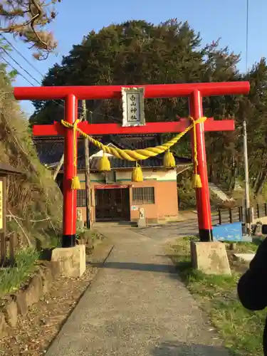 白山神社の鳥居