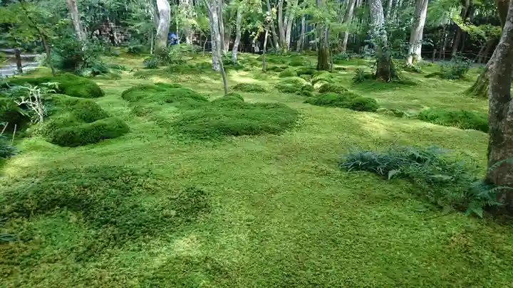 祇王寺(京都府)