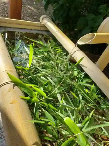 猿田彦神社の手水舎