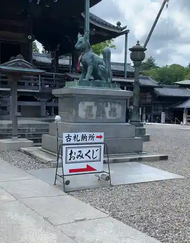 豊川閣　妙厳寺の狛犬