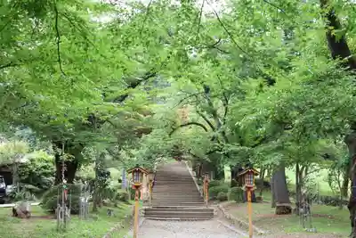 新倉富士浅間神社(山梨県)