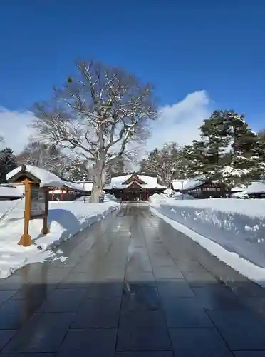 北海道護國神社の本殿