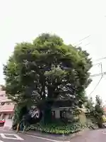小野神社(東京都)