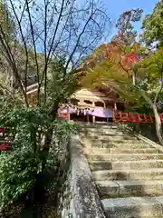 高鴨神社(奈良県)