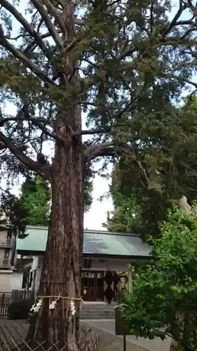 下神明天祖神社(東京都)