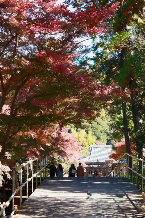 円覚寺(神奈川県)