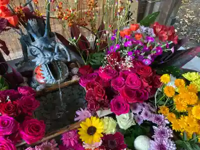 札幌諏訪神社の手水舎