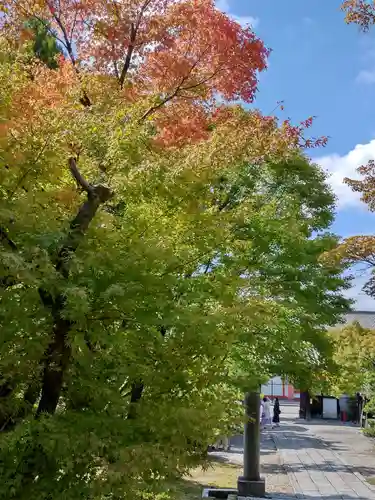 養源院(京都府)
