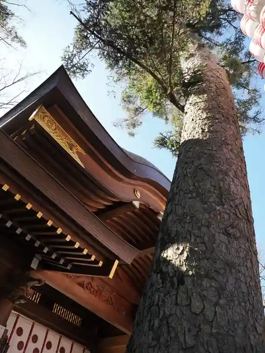 大國魂神社(東京都)