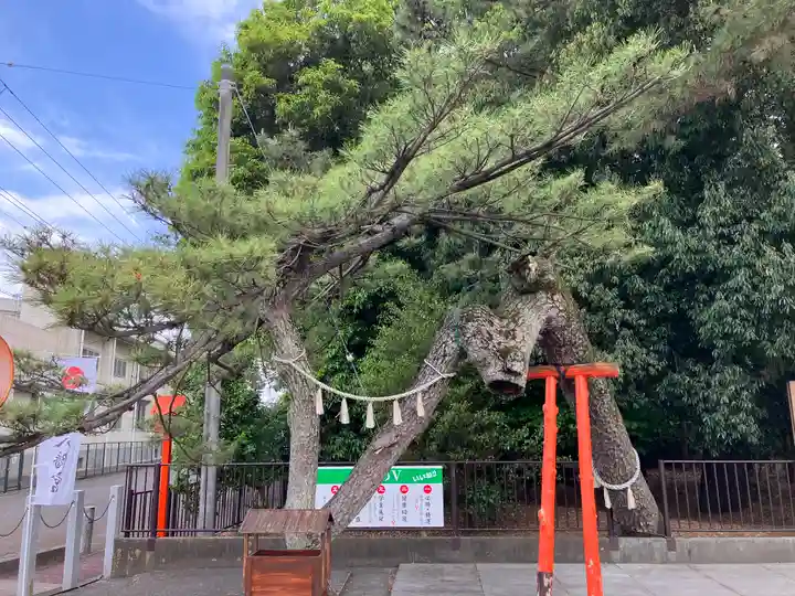 玉村八幡宮の庭園