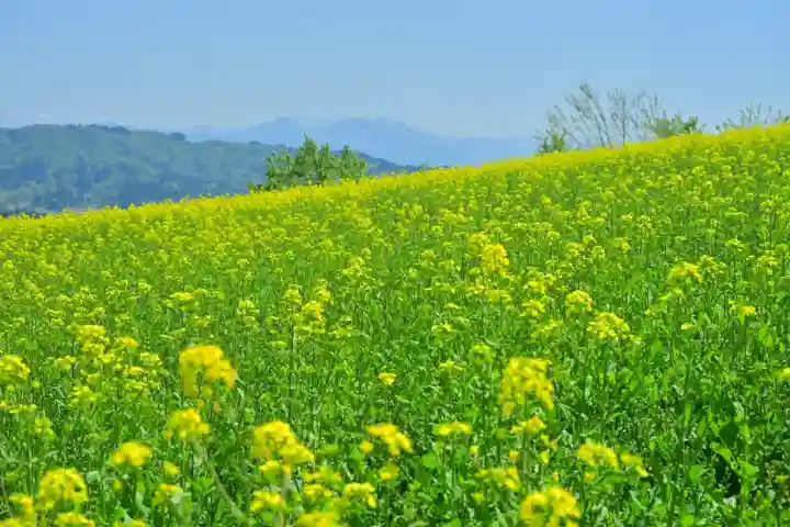 沢山神社(澤山神社)(新潟県)