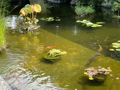 西新井大師総持寺(東京都)